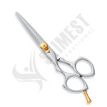 Professional Hair Cutting Scissors