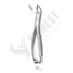 Extracting Forceps