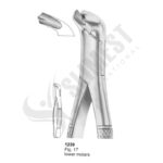 Extracting Forceps