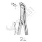 Extracting Forceps