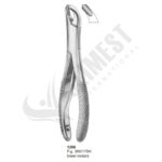 Extracting Forceps