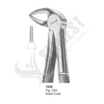 Extracting Forceps