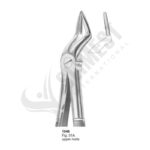 Extracting Forceps
